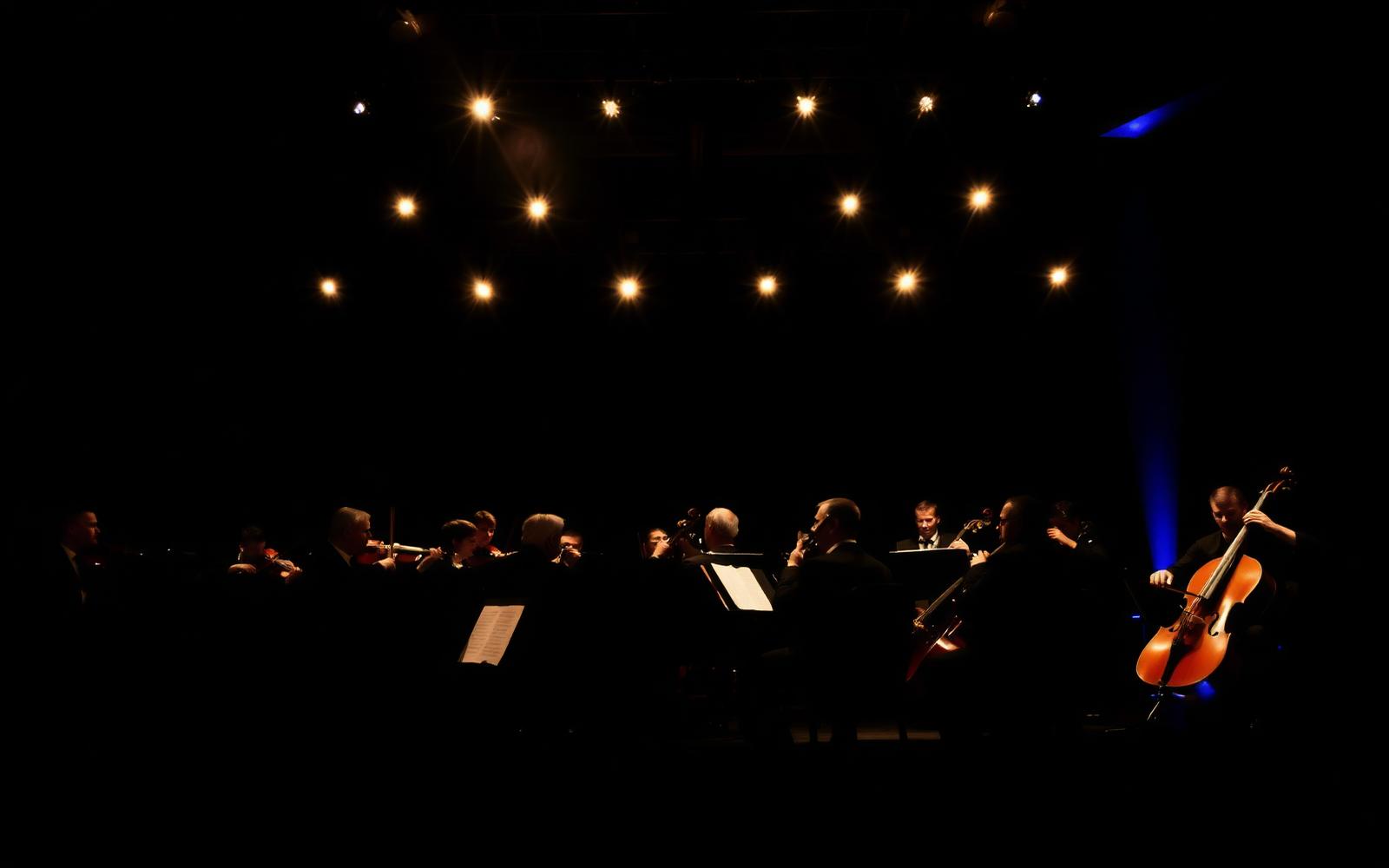 Orquestra em performance